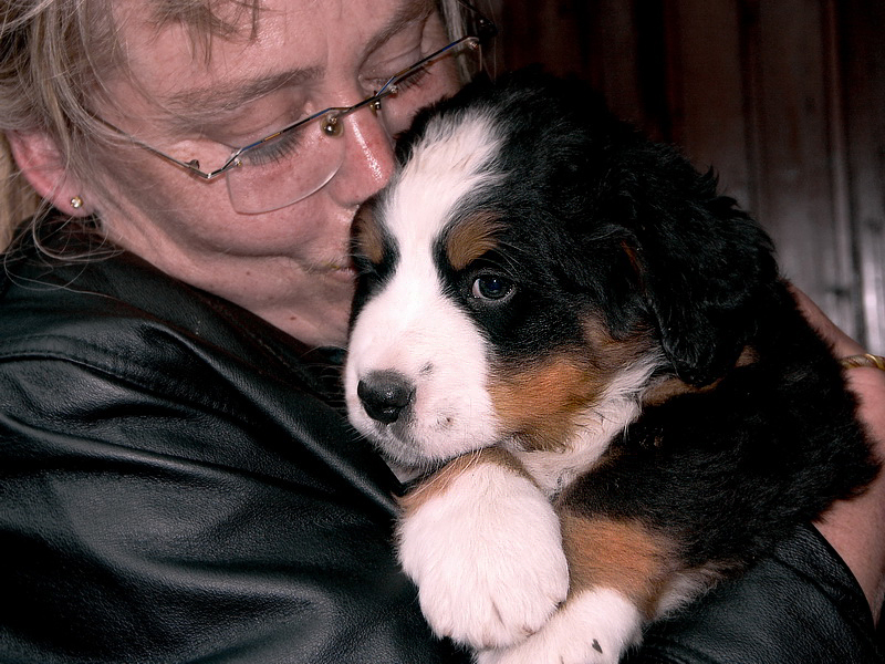 Anton A2 PICT0993 (11)_BildgrÃ¶ÃŸe Ã¤ndern.jpg - Erst 5 Wochen alt .....